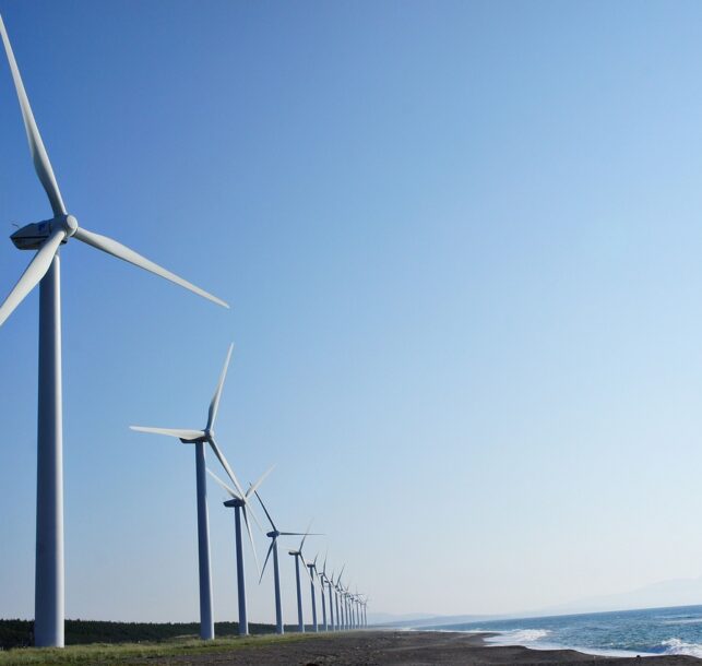 Bijna de helft van Nederlandse stroomproductie was duurzaam in 2023